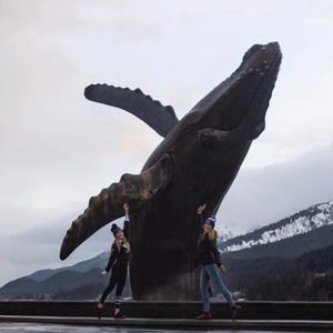 Meet your Posher, Denali